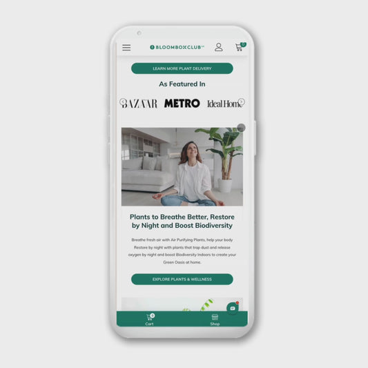 2024 - WELLNESS WITH PLANTS UK