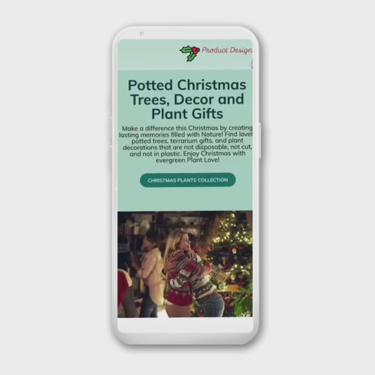 2024 CHRISTMAS WITH PLANTS UK
